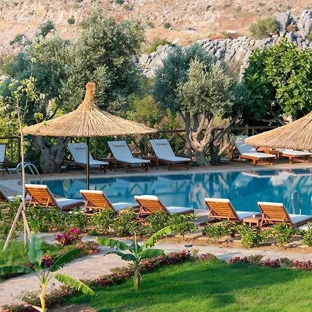 מלון Boho Garden