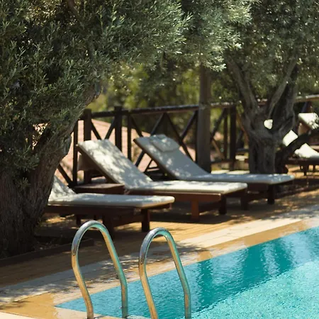 מלון Boho Garden *