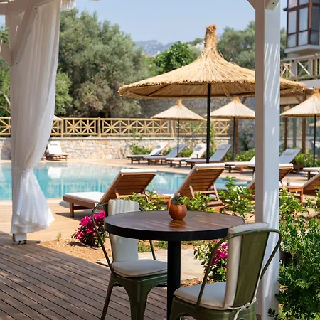 Boho Garden מלון