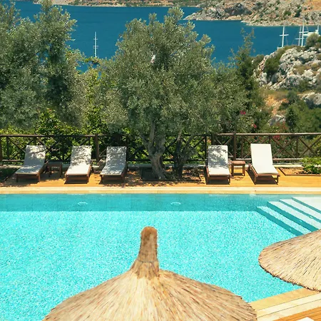 فندق Boho Garden